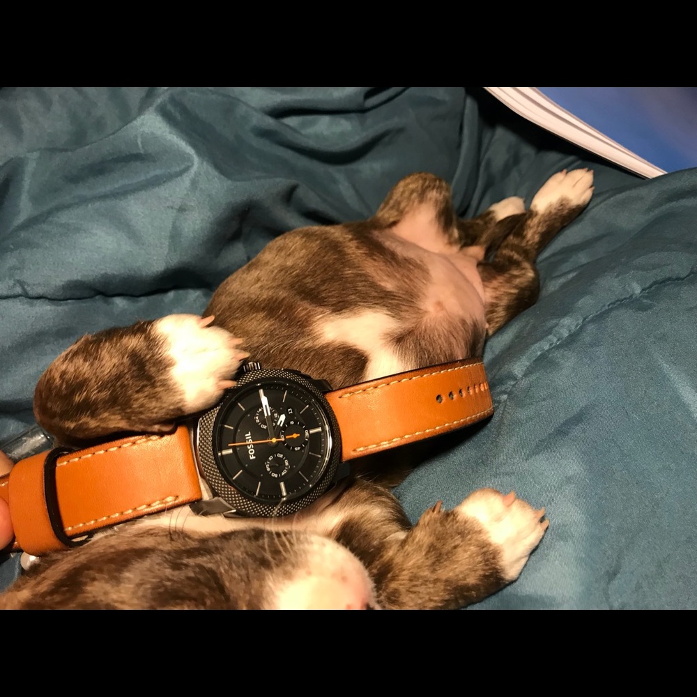 Fossil Machined Chronograph